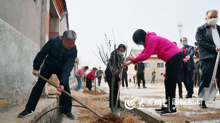  [树苗]大王庄镇：植树造林添新绿 乡村振兴增活力