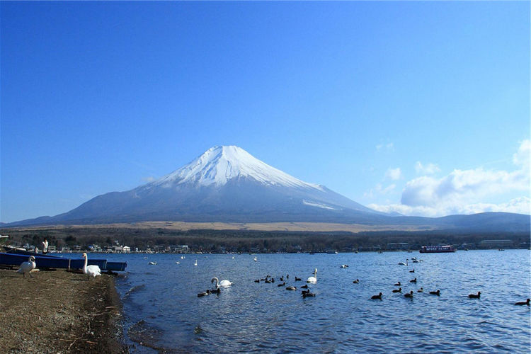 实拍东京歌舞伎町：日本最大合法红灯区，种类繁多还有免费店铺