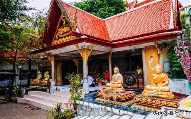 男游客去泰国说“萨瓦迪卡”，遭当地人嘲笑，知道原因后感觉好笑