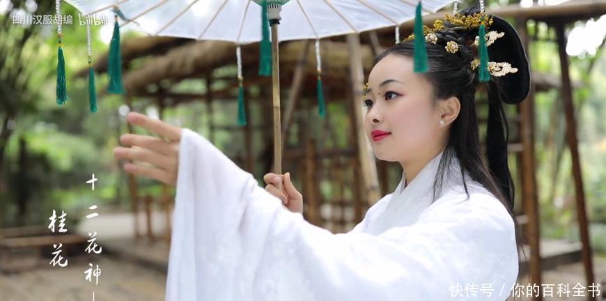 『浪漫』十二个月,十二种花,中国传统花朝节是如此的浪漫美好!