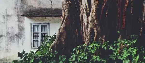 有一种旅行，叫去老街走一走