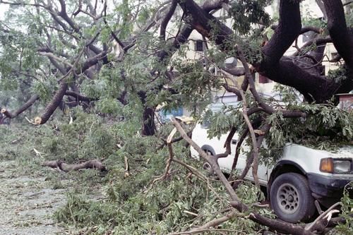 在摄影师15年的个人成长影像记录里,有原汁原味的印度南部风情