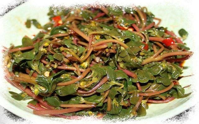 在农村一种常见的野草，在农村没人要，在城里却是高级货