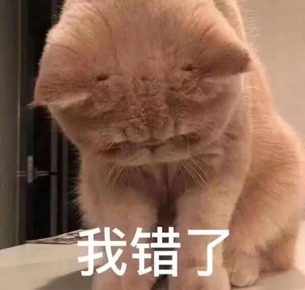  「代购」还花啥钱找代购，这么多好用的国货不香吗？！