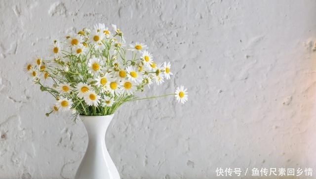  [巴结]有钱的咱不巴结，没钱的咱不看扁
