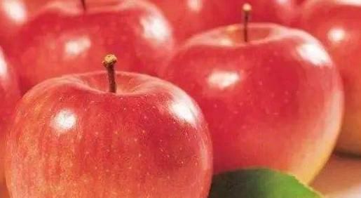  高产：富含矿物质和维生素的苹果，要高产，管理是关键，果农需掌握几点