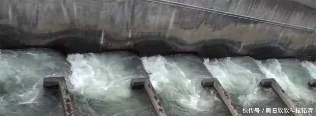 在建三峡大坝时，专家建议放养上万条大鱼，看完才知道良苦用心
