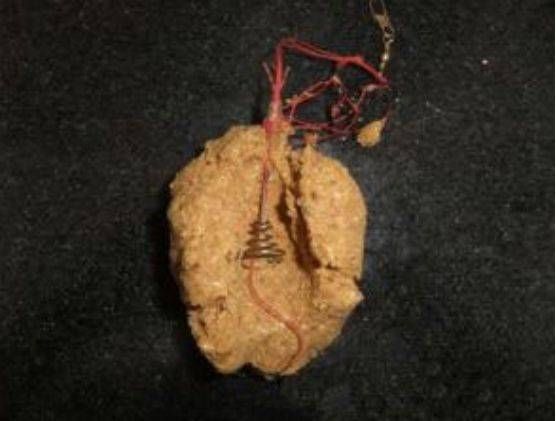  [进食]野生鲫鱼的这几种习性，和我们熟知的钓法是相背离的