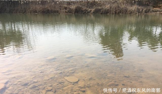  「少打一点窝料」窝量有多有少，打对最为重要！把握这4点，钓鱼打窝不头疼
