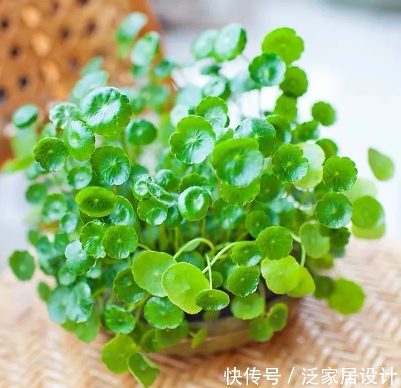  #春天#想要小钱变大钱，少钱变多钱，你一定要get的几个技巧