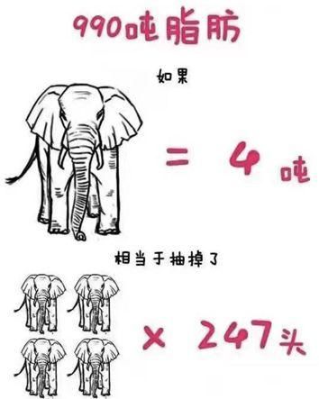  抽脂@抽脂成为当下女性减肥潮流，抽脂减肥：想怎么瘦，就能怎么瘦？