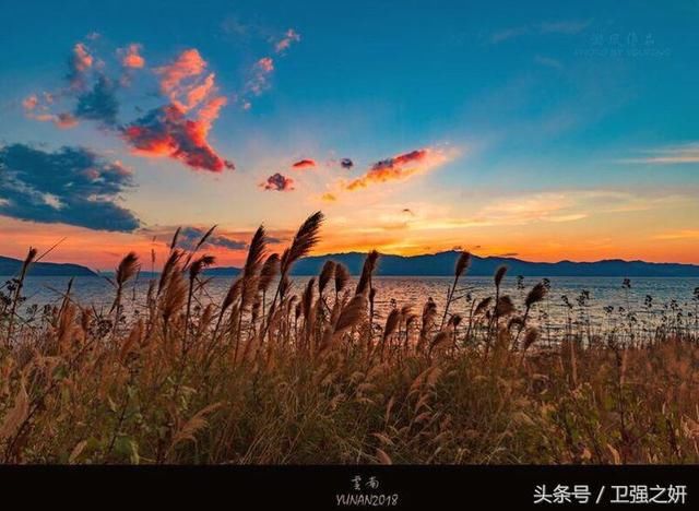 【空谷幽兰】烟雨花香又一春
