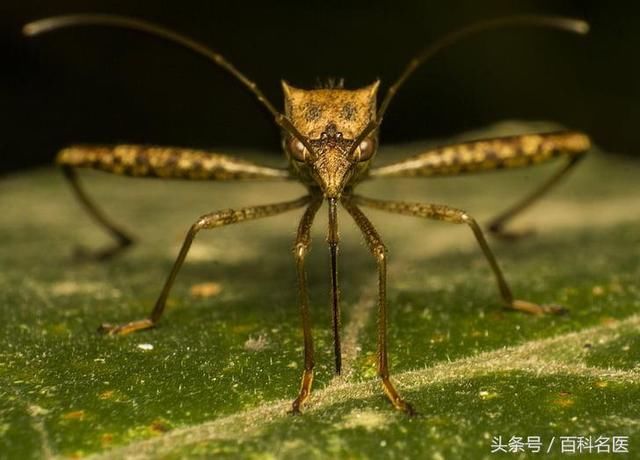 5大常识，竟然是谣言？！