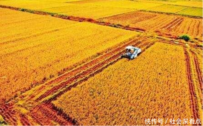 美国为何赔钱也要出口粮食给中国 大家给出了两种答案