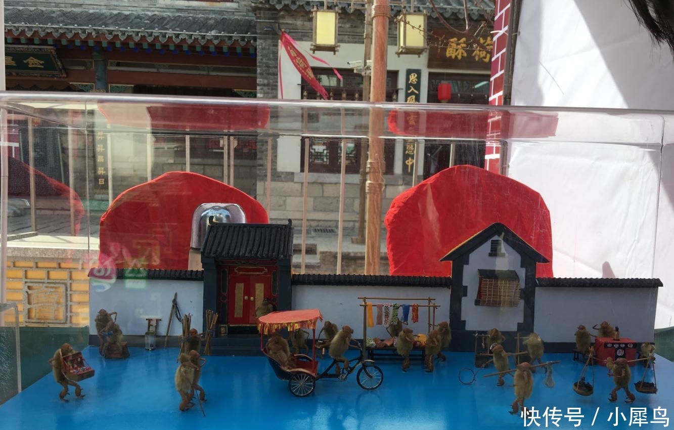 山东大叔用蝉蜕皮做“毛猴” 单个售价上百元却不售卖