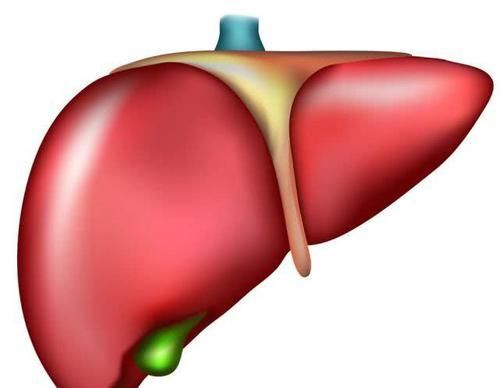  「肝癌」肝癌是“吃”出来的？注意：天天吃的4种食物，其实在滋养癌细胞！