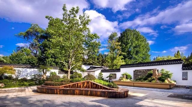 国内最大的专类盆景园,江南园林海派风格美不胜收