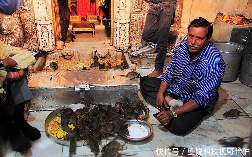 全球最脏的几个地方,搞不懂为何还有很多人,喜欢来这样的地方