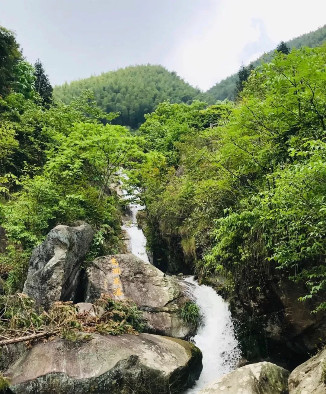 浙南有座山谷里，藏了个真正的“桃花源”，却少有人知！