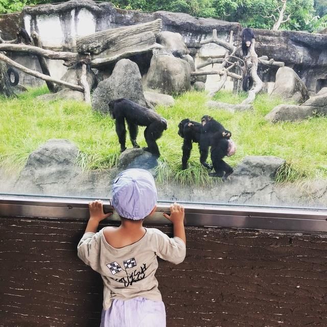 带娃看世界之台北-九份-花莲-台北七日游