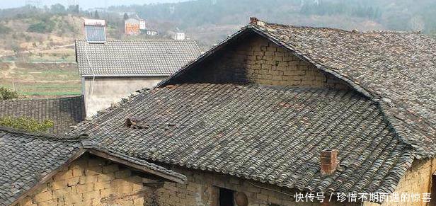 下月起，农村将迎来4个改造项目，几乎村村都有，农民要提前准备