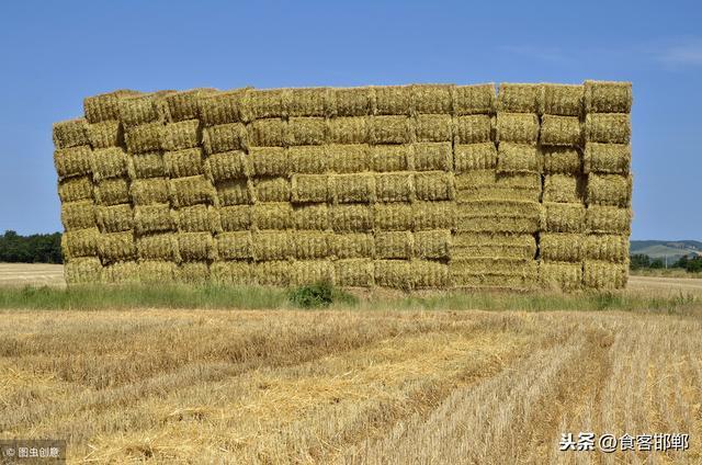 农村地区禁止焚烧秸秆引热议！农民喊话专家：把农作物也禁了吧！
