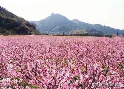 “人间仙境”丙中洛，一生一定要去一次