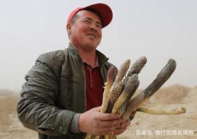 我国再现超级工程，30万亩沙漠变绿洲，印度“还不是多亏我们”