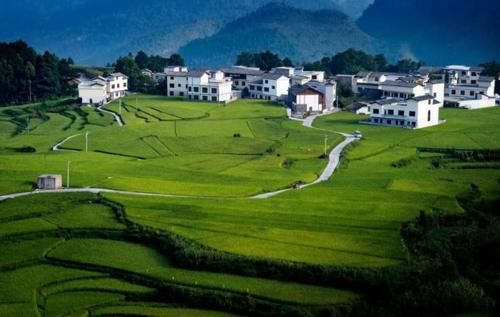  「条件」农村户口“迁出容易、迁回难”？满足这五个条件可以将