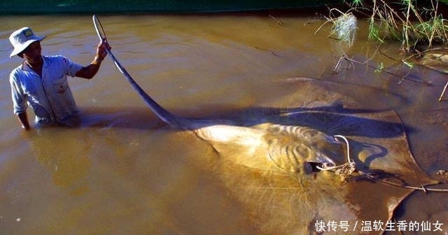 强烈要求李大毛老师停止游钓中国, 远征湄公河降服真正的巨物