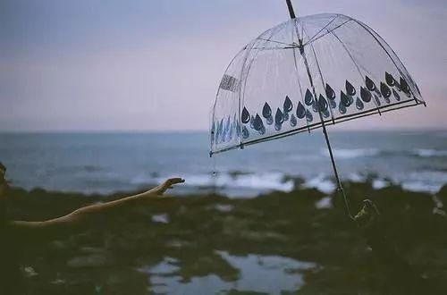  [浇死]花是浇死的，鱼是撑死的……文章不长，却很受用！