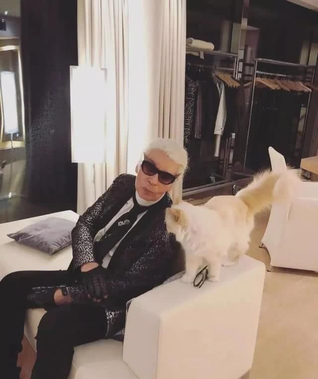  『Choupette』时尚教父“老佛爷”生前养的这只猫，有多幸运就有多难过