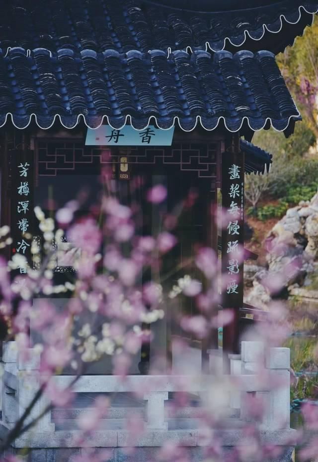  「究竟」云看花，中国美丽高等院校究竟看哪儿？