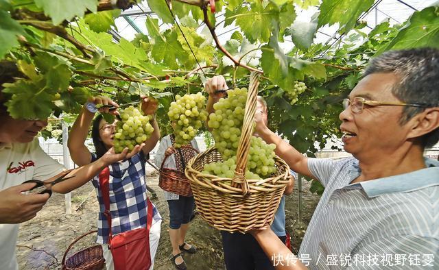  「值钱」发达的农村地区怎么办？整合后土地将变得值钱 不知道的