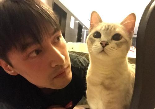 胡歌经纪人姚瑶被开除网友直呼痛快，胡歌留学事件真相曝光！