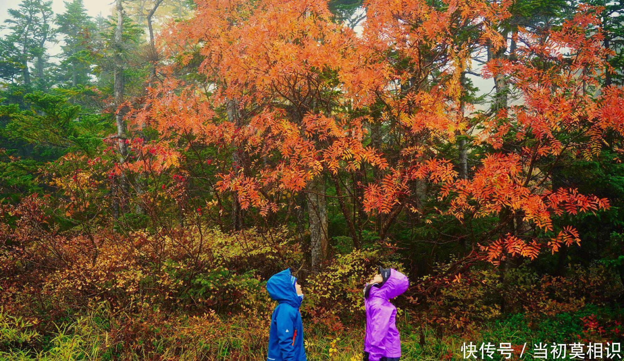 日本阿尔卑斯被称作“日本的脊梁”,是登山爱好者、野营的胜地
