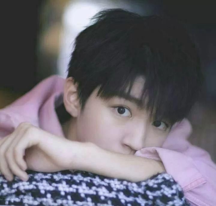 鹿晗,赵丽颖,王俊凯、王源,魏大勋,经超,凰权