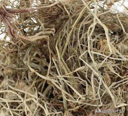 农村有一种野草，以前总是被农民拔掉，现在却卖20元1斤