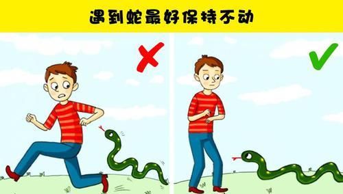  「袭击者」9个可在关键时刻救命的小技巧