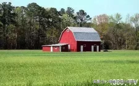 对不起，我回去当农民了！中国即将实行三权分置