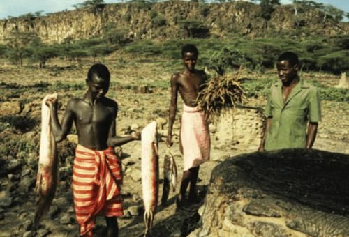 世界上命最“硬”的一种鱼，即使在42度沙漠中，都能存活4年之久