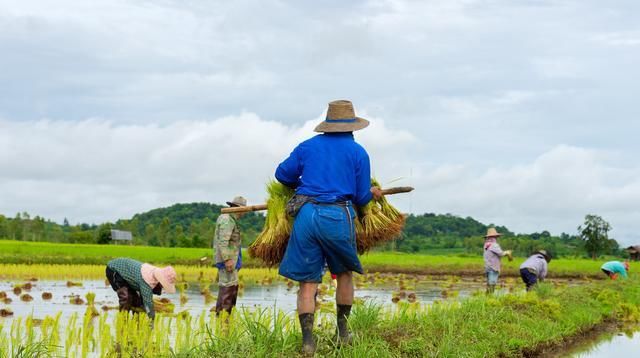  [更好]在未来10年里，农村会更好还是更坏？