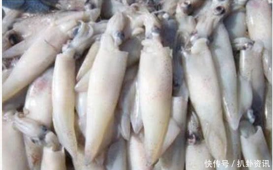  【回家】女子菜市场买大个墨鱼，回家把鱼杀好后，气得连忙拿起电话报警