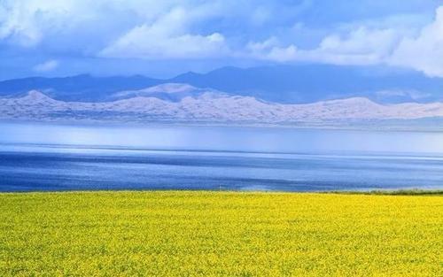 一旦去了这些地方，其他就都成了将就！