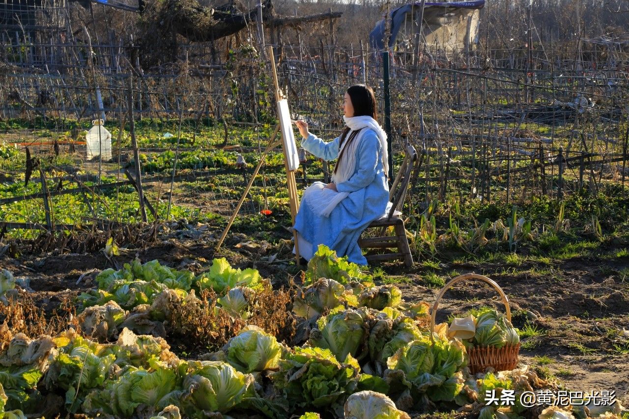 50亩地是多少平方米