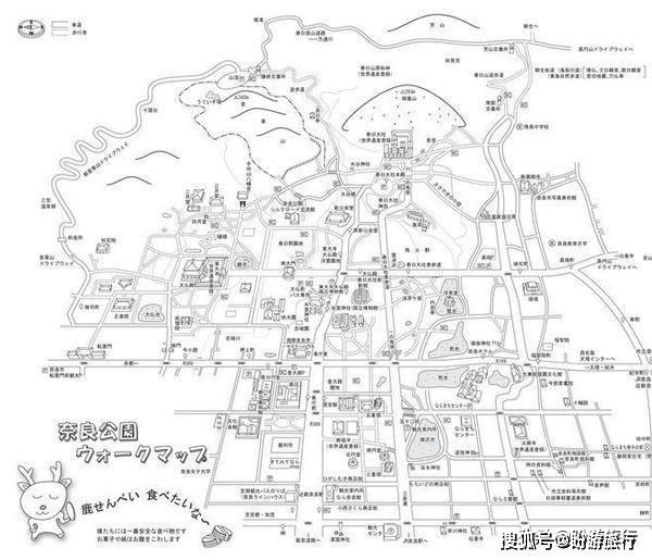  「祈福的灯笼」DAY2日本深度自由行之大阪都门奈良城崎旅行日记