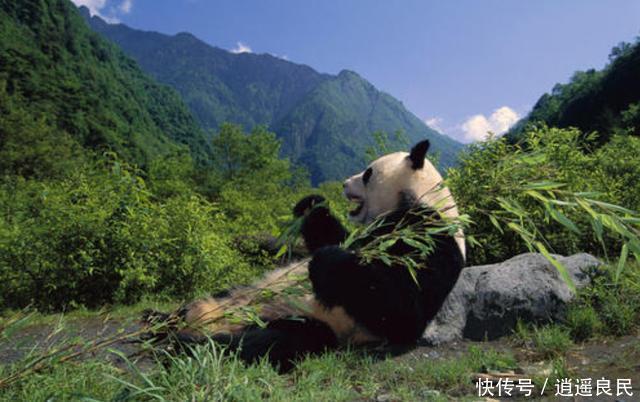  严惩|农村4大“禁养区”或将来临！没补贴还会严惩，农民朋友早