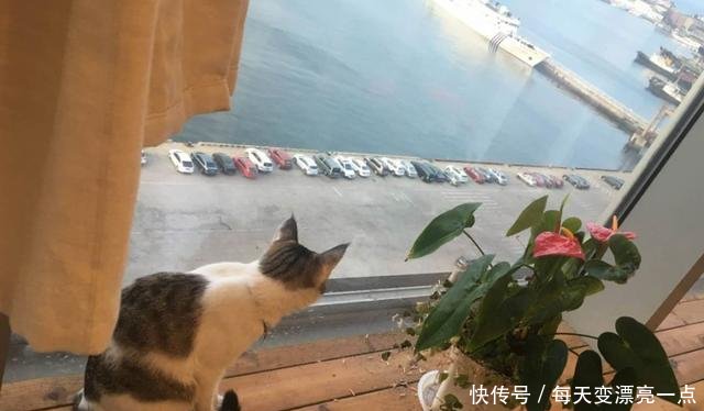 作为一个山东人，下雪不只有刷朋友圈，还要……