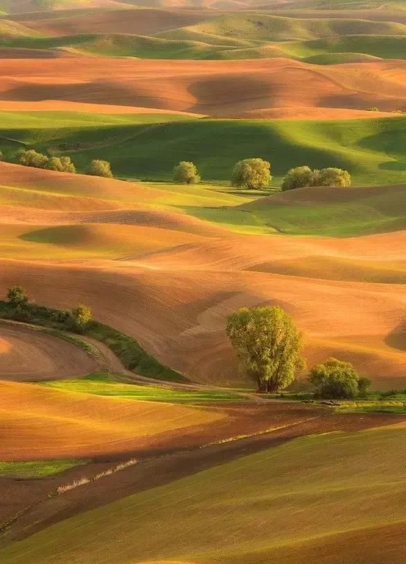 天堂照片！（快看）