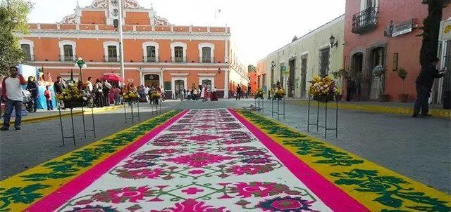 你在前面跑牛在后面追 紧不紧张?刺不刺激?